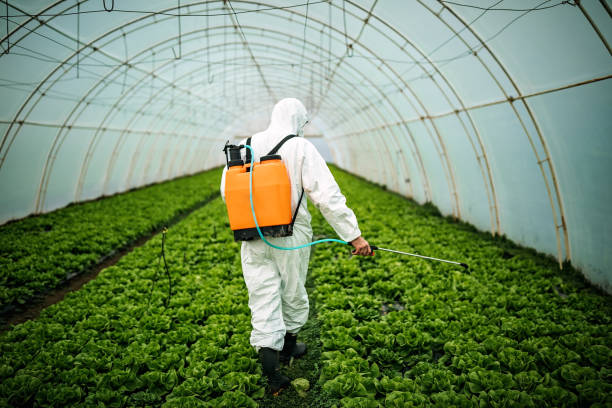 Best Insect Control  in Lodi, NJ