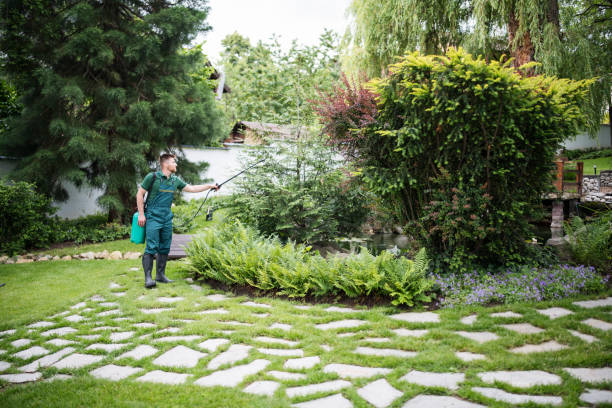 Best Affordable Pest Control Services  in Lodi, NJ