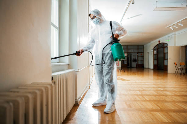 Insect Control in Lodi, NJ