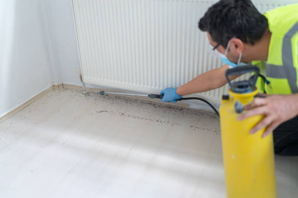 Pest Control Cost in Lodi, NJ