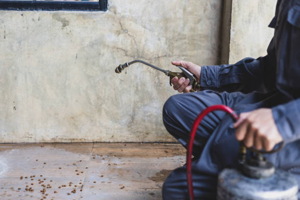 Best Pest Prevention Services  in Lodi, NJ